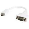 Image de StarTech.com Adaptateur de câble vidéo mini DVI vers VGA pour Macbook et iMac