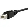 Image de Startech Câble USB B panneau M/F