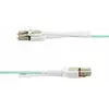 Image de STARTECH Câble USB 450FBLCLC10PP