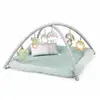 Image de Ingenuity Tapis d'éveil bébé Calm Spring - Multicolore