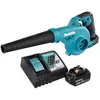 Image de Makita Souffleur aspirateur de jardin