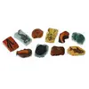 Image de Safari Figurines fossiles en tube