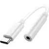 Image de Apple Adaptateur USB-C vers mini-jack 3,5mm - MU7E2ZM/A