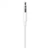 Image de Apple Câble Lightning vers Jack 3,5 mm 1,2m Blanc
