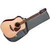 Image de Takamine FT340 BS