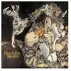Image de Never For Ever