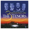 Image de Les 3 Ténors IN CONCERT 1994 Double Vinyle 2 LP 180 g