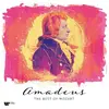 Image de Amadeus The Best Of Mozart