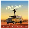 Image de Free Spirit Double Vinyle Gatefold Inclus coupon MP3