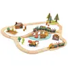 Image de Tender Leaf Toys Set de Train Pins Sauvages