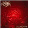 Image de Bloodhymns