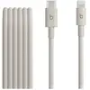 Image de Câble Beats USB C vers Lightning 1.5 m Gris pour iPhone