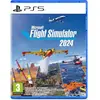 Image de Microsoft Flight Simulator 2024 - PS5