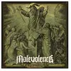 Image de Reign Of Suffering Vinyle Vert Clair