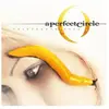Image de Thirteenth step 2 LP