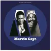 Image de Motown Anniversary Marvin Gaye