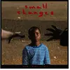 Image de Small Changes