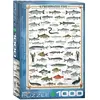 Image de Eurographics Puzzle 1000 pièces Poissons d'eau douce