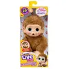 Image de Little Live Pets Mini Caramel Baby Monkey - Caramel