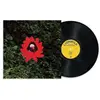 Image de When The Flowers Bloom