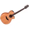 Image de Takamine GN20CE-NS