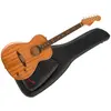 Image de Fender Highway Parlor - All-Mahogany