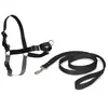 Image de PetSafe Harnais Easy Walk - XL Noir