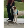 Image de Easy Walk Harnais Deluxe - Bleu Océan - Taille M