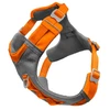 Image de Harnais pour chien Kurgo Journey Air Orange M CY0400
