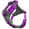Image de Harnais pour chien Kurgo Journey Air Violet M CY0396