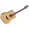 Image de Takamine GD20-NS