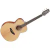 Image de Takamine GN20-NS