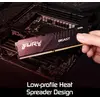 Image de Kingston FURY Beast 64 Go DDR5 5600 MHz CL40