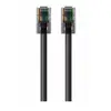 Image de Belkin RJ45-RJ45 5m - Cat6 Noir