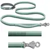 Image de Laisse pour chien élastique Ruffwear Roamer Vert 2,2/3,4 m 40356-35573