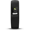 Image de Garmin Vivofit 4 - Noir L