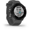 Image de GARMIN Forerunner 55 - Gris