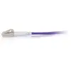 Image de C2g câble optique réseau   Violet