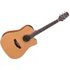 Image de Takamine GD20CE-NS
