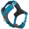 Image de Harnais pour chien Kurgo Journey Air Bleu XL CY0445