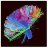 Image de Warner Music France Muse - The 2nd Law (2 LP Gatefold 180g)