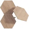Image de Nanoleaf Kit d'extension de panneaux LED hexagonaux Elements