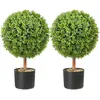 Image de VEVOR SM-J-040 - Vert - Lot de 2 boules 559 mm