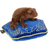 Image de Noble collection peluche grenouille en chocolat Harry Potter