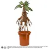 Image de Noble collection peluche Mandrake interactive Harry Potter