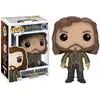 Image de Funko Figurine Pop Harry Potter Sirius Black