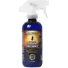 Image de Musicnomad Nettoyant Guitar Detailer