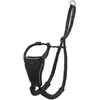 Image de COMPANY OF ANIMALS Harnais Halti M (34-56 cm)