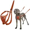Image de Harnais pour Chien Company of Animals BURNT Orange L