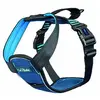Image de Harnais pour chien Difac Carsafe Crash Tested Bleu L 190515